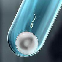 2026年艾滋病患者在湛江做试管生健康宝宝可以实现吗？成功率有多少？