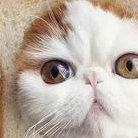 济宁试管婴儿实际费用及注意事项