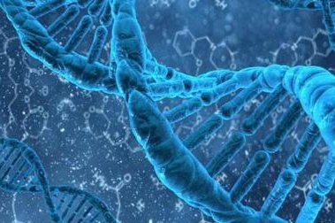 试管改良方案是什么意思？