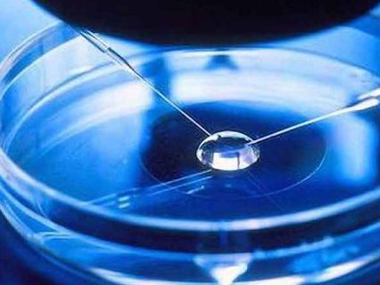 广州最大的助孕机构是哪家（广州三大助孕公司介绍）