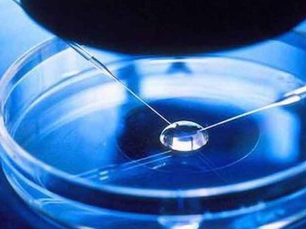 新城附属医院试管成功率参考，原来有两大点是好孕关键