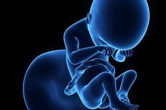 2026年单身男性能不能做泰国试管婴儿，泰国试管能不能单身做？